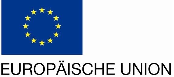 EU-Logo A4 links